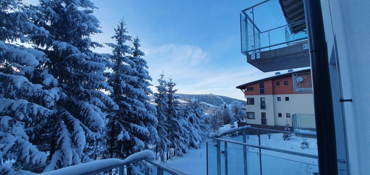 Apartman Nerudovka D 104, Finska Sauna, Garazove Stani Loucna pod Klinovcem Exterior photo